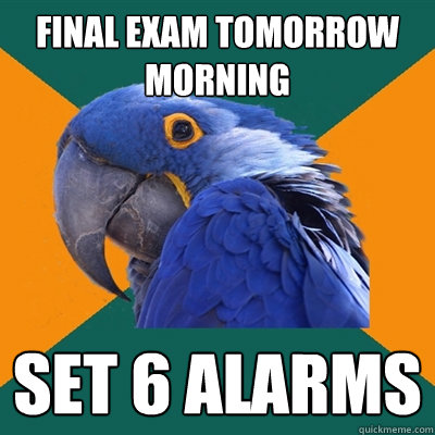 final exam tomorrow morning set 6 alarms - final exam tomorrow morning set 6 alarms  Paranoid Parrot