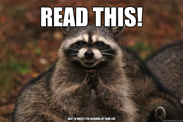 Read this! just to waste ten seconds of your life  - Read this! just to waste ten seconds of your life   Evil Plotting Raccoon