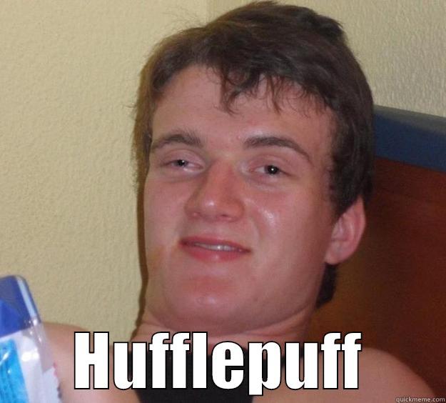  HUFFLEPUFF 10 Guy