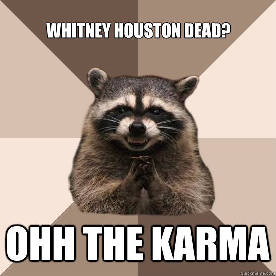 Whitney Houston dead? Ohh the karma  Evil Plotting Raccoon