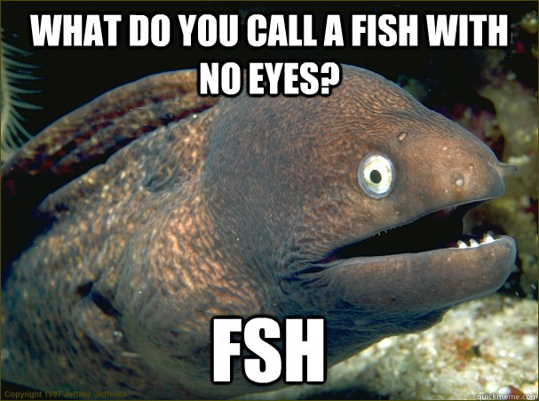 What do you call a fish with no eyes? fsh  Bad Joke Eel