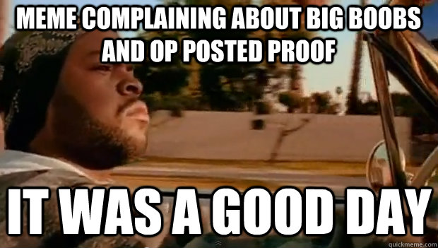 MEME COMPLAINING ABOUT BIG BOOBS AND OP POSTED PROOF IT WAS A GOOD DAY  It was a good day