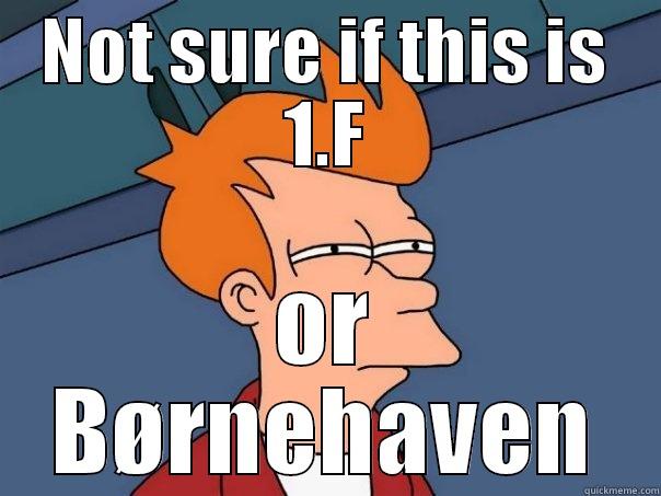 NOT SURE IF THIS IS 1.F OR BØRNEHAVEN Futurama Fry