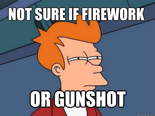 not sure if firework or gunshot  Futurama Fry