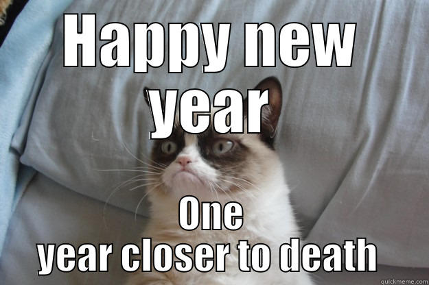 HAPPY NEW YEAR ONE YEAR CLOSER TO DEATH  Grumpy Cat