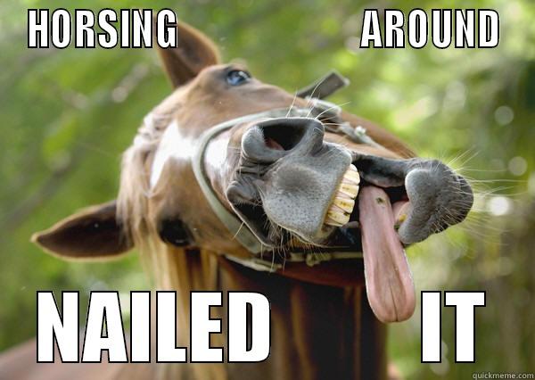 HORSING                         AROUND NAILED         IT Misc