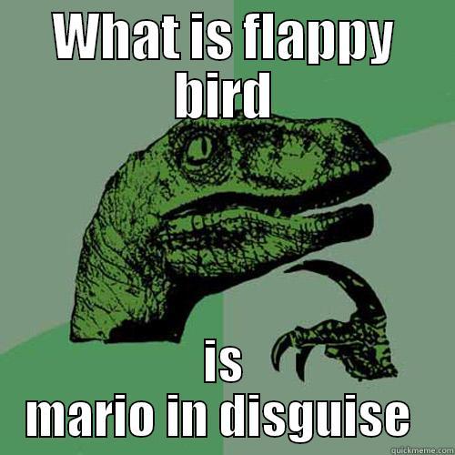 WHAT IS FLAPPY BIRD IS MARIO IN DISGUISE  Philosoraptor