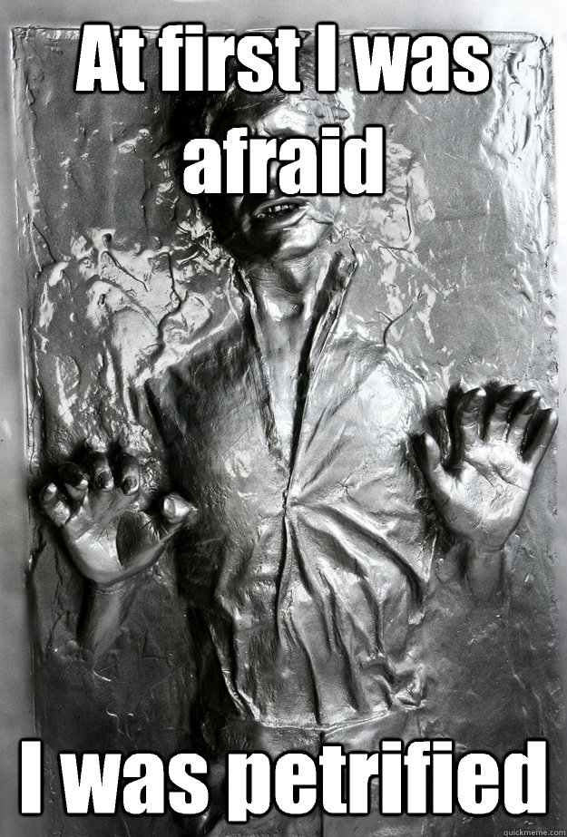 At first I was afraid I was petrified  Han Solo Carbonite