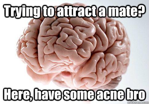 Trying to attract a mate? Here, have some acne bro  Scumbag Brain