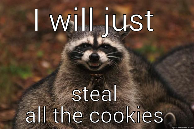 I WILL JUST STEAL ALL THE COOKIES Evil Plotting Raccoon