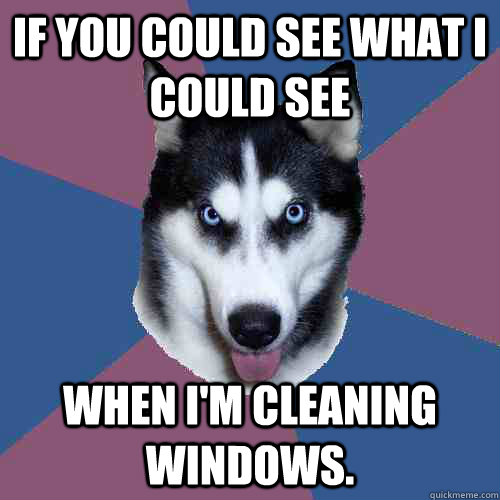 If you could see what I could see When I'm cleaning windows.  Creeper Canine