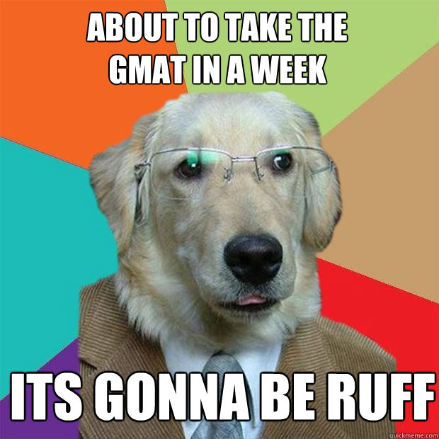 About to take the 
GMAT in a week Its gonna be ruff - About to take the 
GMAT in a week Its gonna be ruff  Business Dog