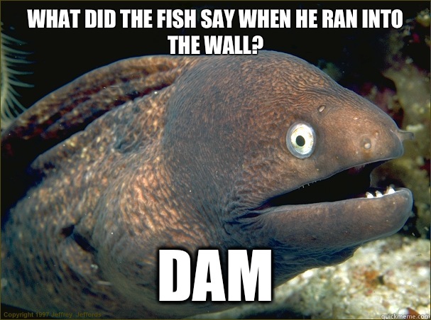 What did the fish say when he ran into the wall?
 Dam  Bad Joke Eel