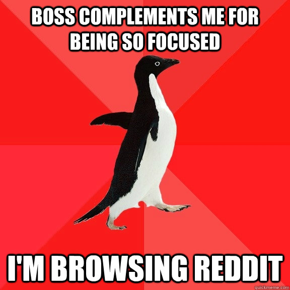 Boss complements me for being so focused I'm browsing reddit  Socially Awesome Penguin