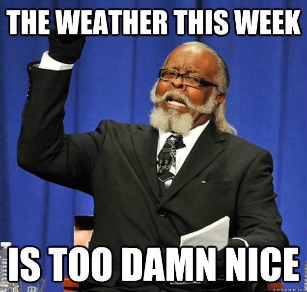 The weather this week  Is too damn nice - The weather this week  Is too damn nice  Jimmy McMillan