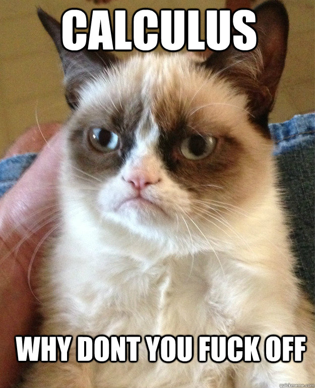 calculus why dont you fuck off  Grumpy Cat