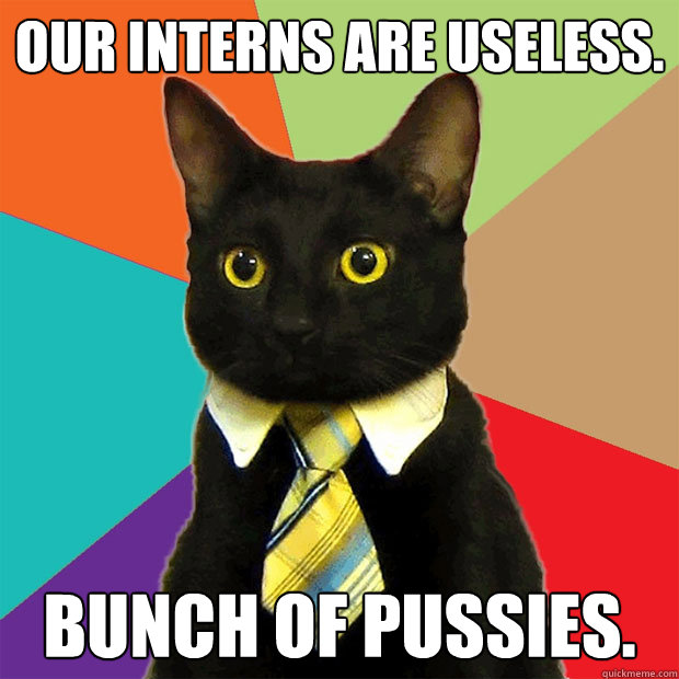 Our interns are useless. Bunch of Pussies.   Business Cat