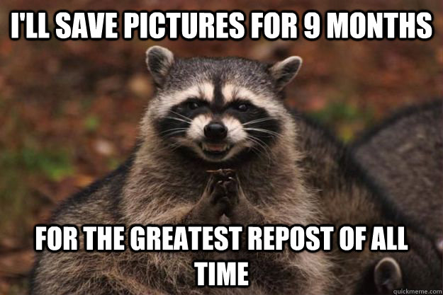 I'll save pictures for 9 months for the greatest repost of all time - I'll save pictures for 9 months for the greatest repost of all time  Evil Plotting Raccoon