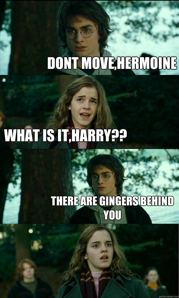 dont move,hermoine what is it,harry?? there are gingers behind you  
