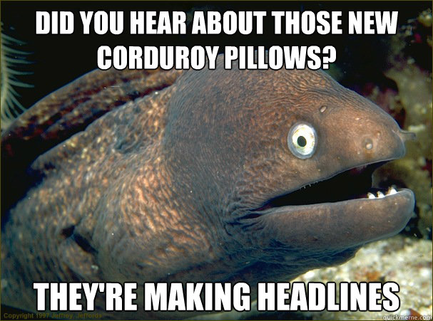 Did you hear about those new corduroy pillows? They're making headlines - Did you hear about those new corduroy pillows? They're making headlines  Bad Joke Eel