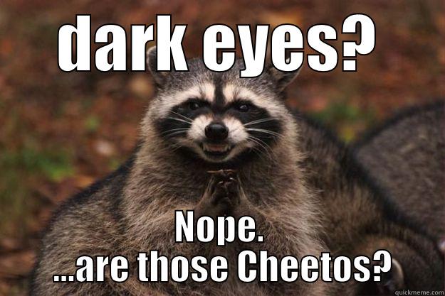 raccoon sandwich - DARK EYES? NOPE.  ...ARE THOSE CHEETOS? Evil Plotting Raccoon