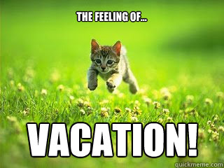 The feeling of... VACATION!  Excited Kitten