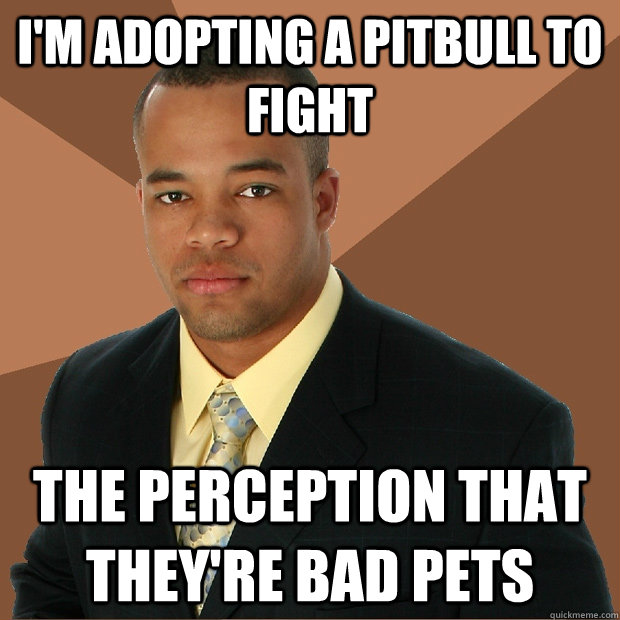I'm adopting a pitbull to fight the perception that they're bad pets - I'm adopting a pitbull to fight the perception that they're bad pets  Successful Black Man