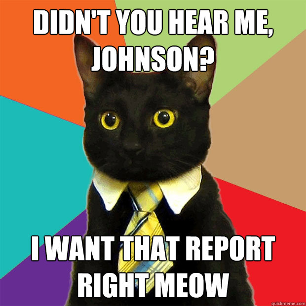 Didn't you hear me, Johnson? I want that report right meow  Business Cat