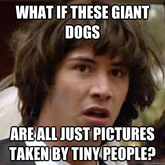 WHAT IF THESE GIANt dogs are all just pictures taken by tiny people?  conspiracy keanu