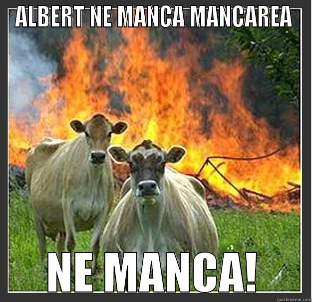 FUNNY FUNNY - ALBERT NE MANCA MANCAREA NE MANCA! Evil cows