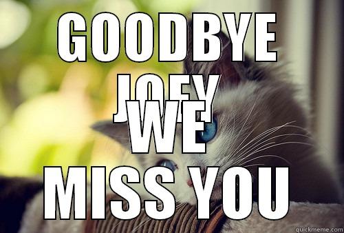 GOODBYE JOEY WE MISS YOU First World Problems Cat