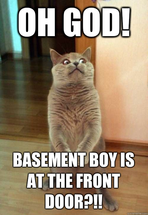 Oh God! Basement boy is at the front door?!!  Horrorcat