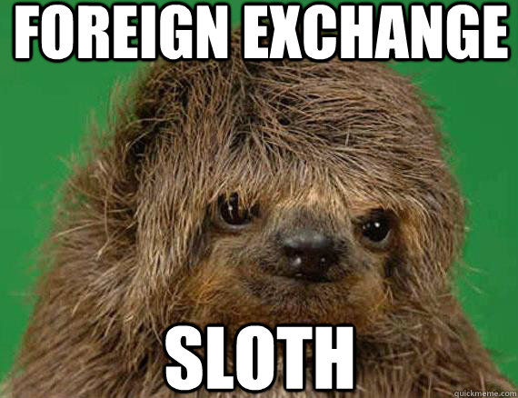 FOREIGN EXCHANGE SLOTH  