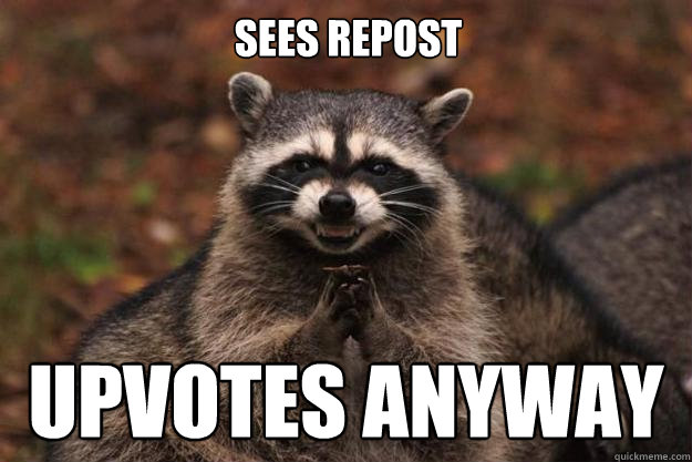 Sees repost upvotes anyway - Sees repost upvotes anyway  Evil Plotting Raccoon