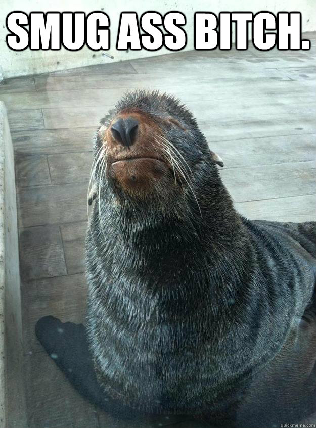 SMUG ASS BITCH.   smug sea lion