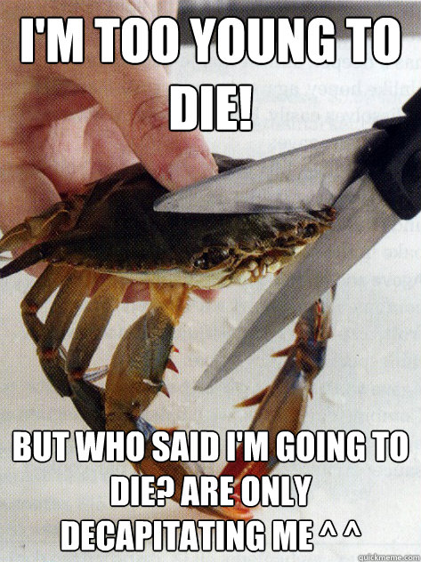 I'm too young to die! But who said I'm going to die? Are only decapitating me ^ ^  Optimistic Crab