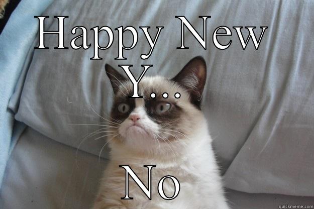 HAPPY NEW Y... NO Grumpy Cat