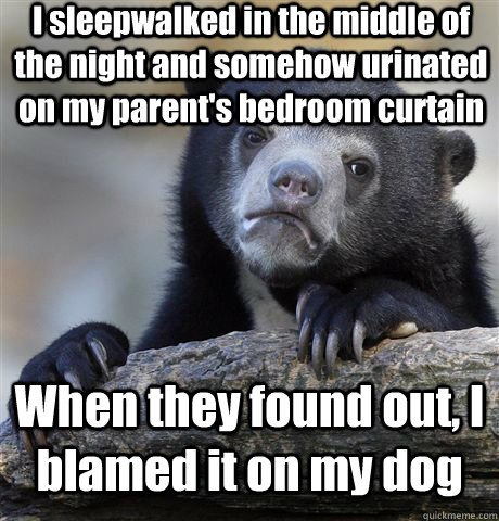 I sleepwalked in the middle of the night and somehow urinated on my parent's bedroom curtain When they found out, I blamed it on my dog  Confession Bear