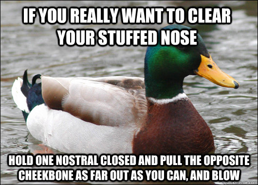 If you really want to clear your stuffed nose hold one nostral closed and pull the opposite cheekbone as far out as you can, and blow - If you really want to clear your stuffed nose hold one nostral closed and pull the opposite cheekbone as far out as you can, and blow  Actual Advice Mallard