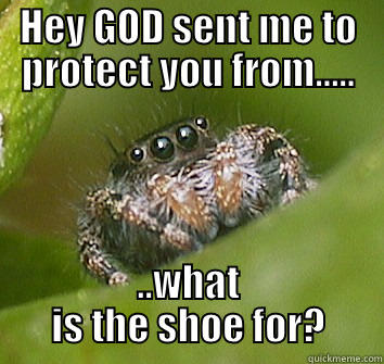 HEY GOD SENT ME TO PROTECT YOU FROM..... ..WHAT IS THE SHOE FOR? Misunderstood Spider