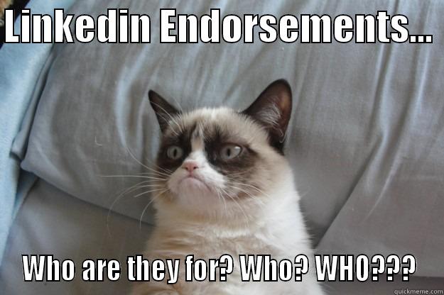 LINKEDIN ENDORSEMENTS...  WHO ARE THEY FOR? WHO? WHO??? Grumpy Cat