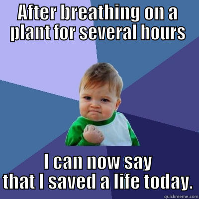 Helping plants  - AFTER BREATHING ON A PLANT FOR SEVERAL HOURS I CAN NOW SAY THAT I SAVED A LIFE TODAY. Success Kid