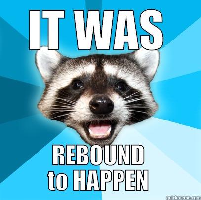 IT WAS REBOUND TO HAPPEN Lame Pun Coon