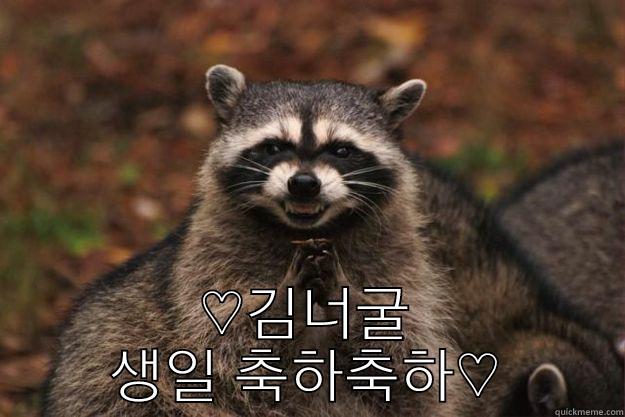  ♡김너굴 생일 축하축하♡ Evil Plotting Raccoon