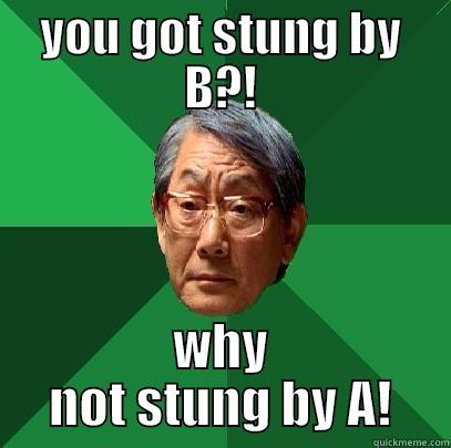 YOU GOT STUNG BY B?! WHY NOT STUNG BY A! High Expectations Asian Father