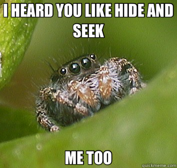 I HEARD YOU LIKE HIDE AND SEEK ME TOO  Misunderstood Spider