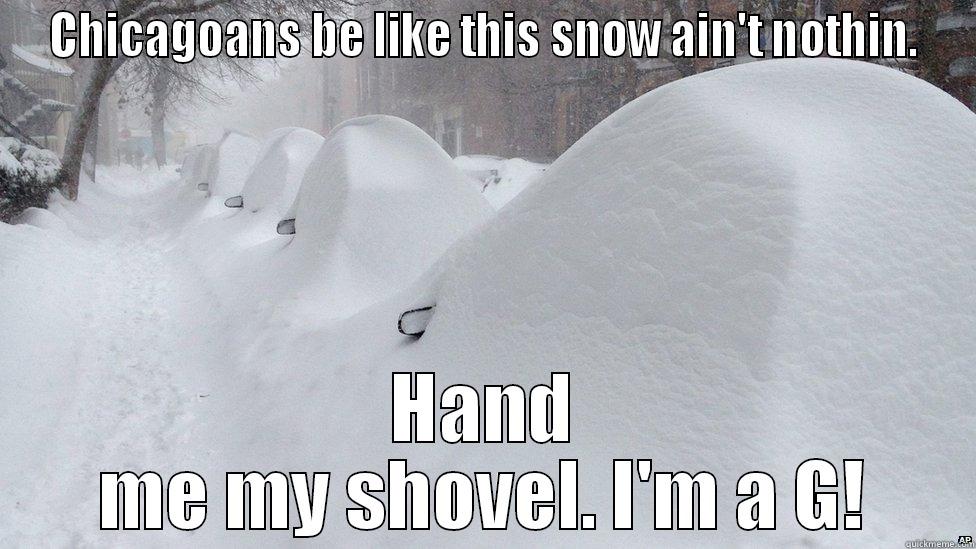 Blizzards in Chicago! - CHICAGOANS BE LIKE THIS SNOW AIN'T NOTHIN. HAND ME MY SHOVEL. I'M A G! Misc