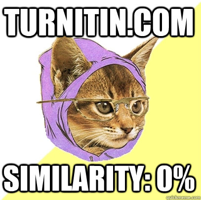 turnitin.com similarity: 0% - turnitin.com similarity: 0%  Hipster Kitty