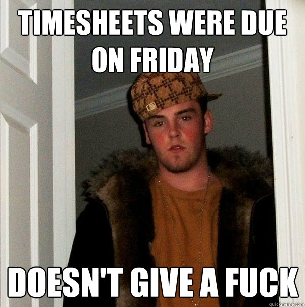 TIMESHEETS Were due on friday Doesn't give a fuck - TIMESHEETS Were due on friday Doesn't give a fuck  Scumbag Steve