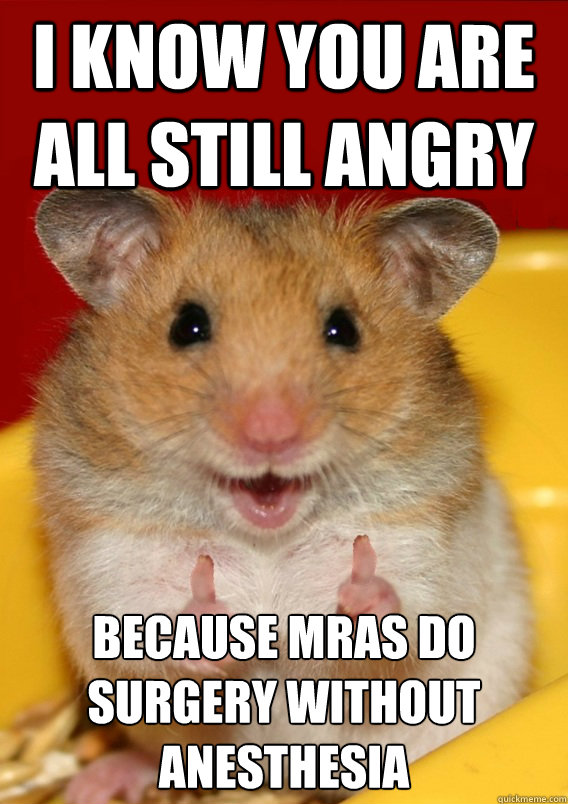 I know you are all still angry because MRAs do surgery without anesthesia  - I know you are all still angry because MRAs do surgery without anesthesia   Rationalization Hamster